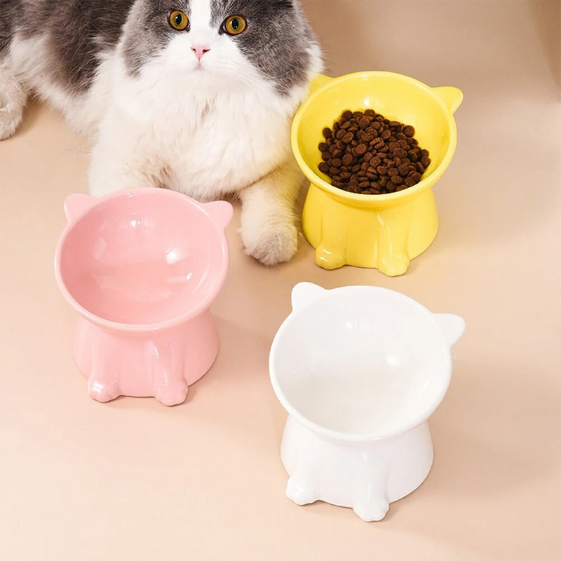Anti-Vomit Cat Bowl