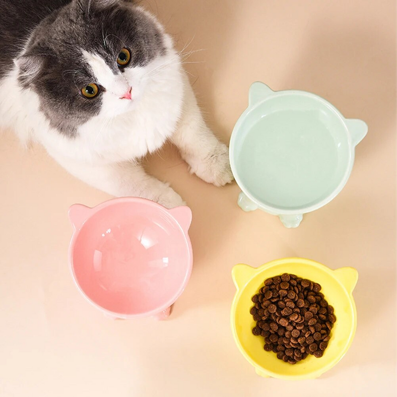 Anti-Vomit Cat Bowl