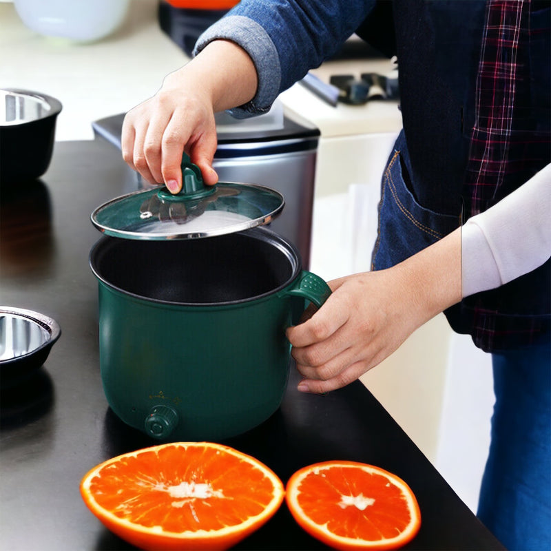 Portable Electric Cooker