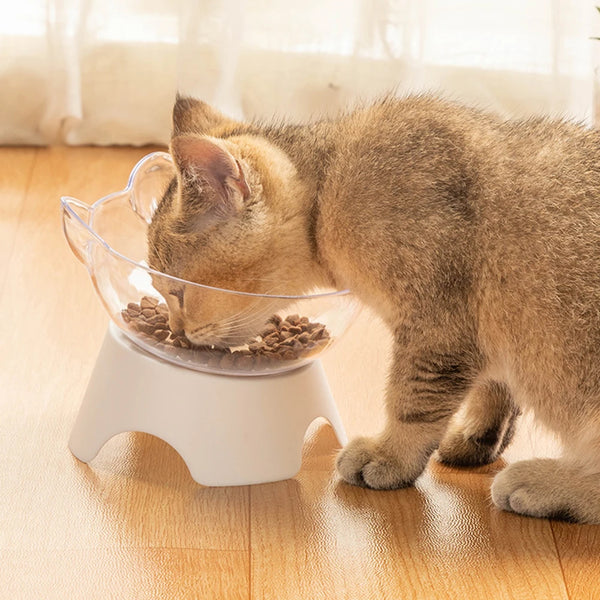 Anti-Vomit Cat Bowl